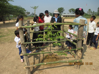 環境教育のため木を植え、育てる